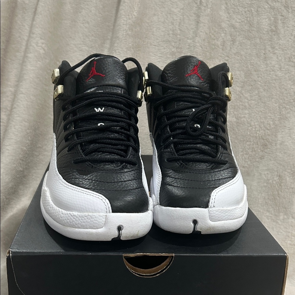 Air Jordan Retro 12